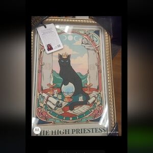 NWT NEW Sapna Shah Cat Art Framed Print
